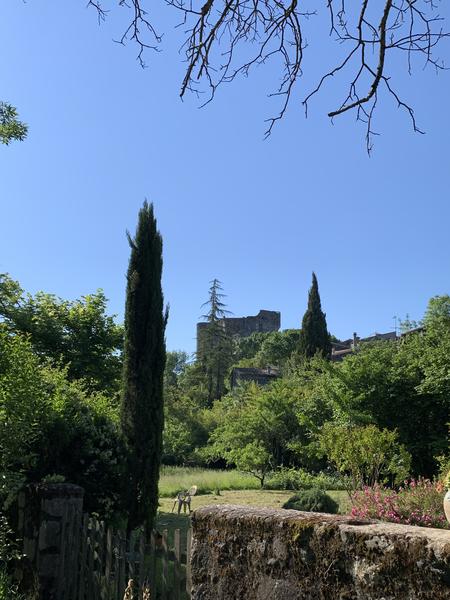 Terre dhistoires : sur les pas des plantes et des villages