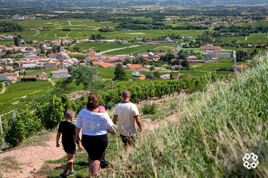 Sentier des Lys_Fleurie