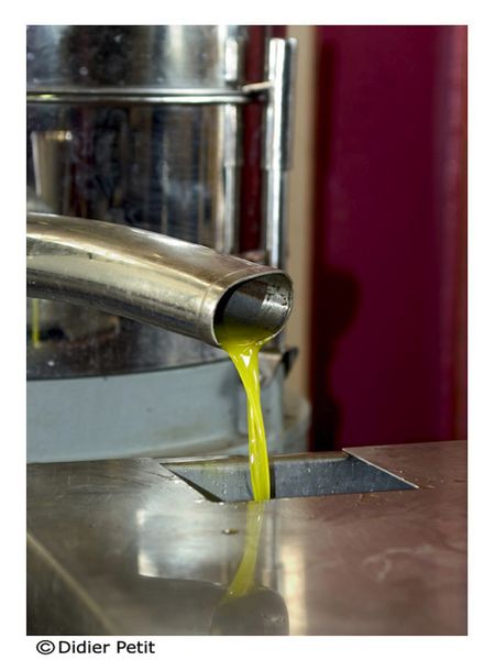 Boutique Grand Réal