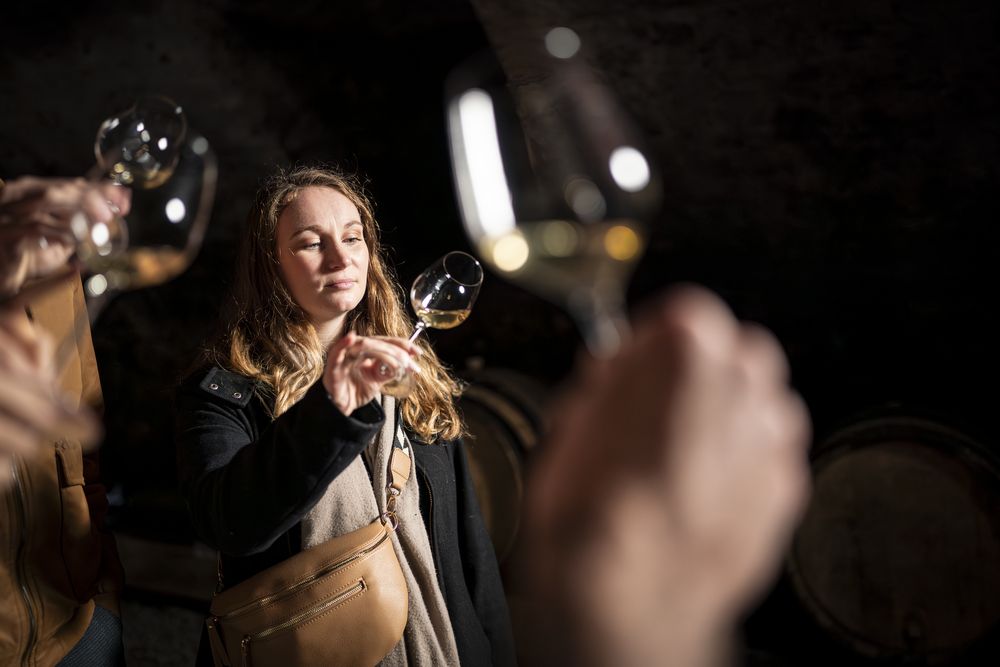 Culture et Vins au Domaine Verzier