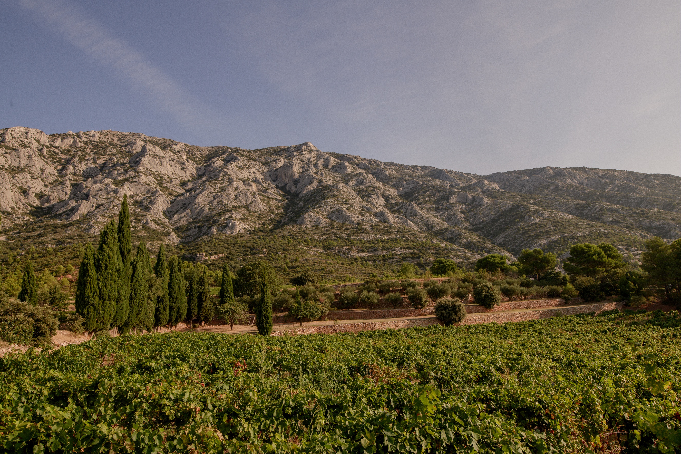 "Boucle du 13" n°13 - Tour de la montagne Sainte Victoire — photo 2