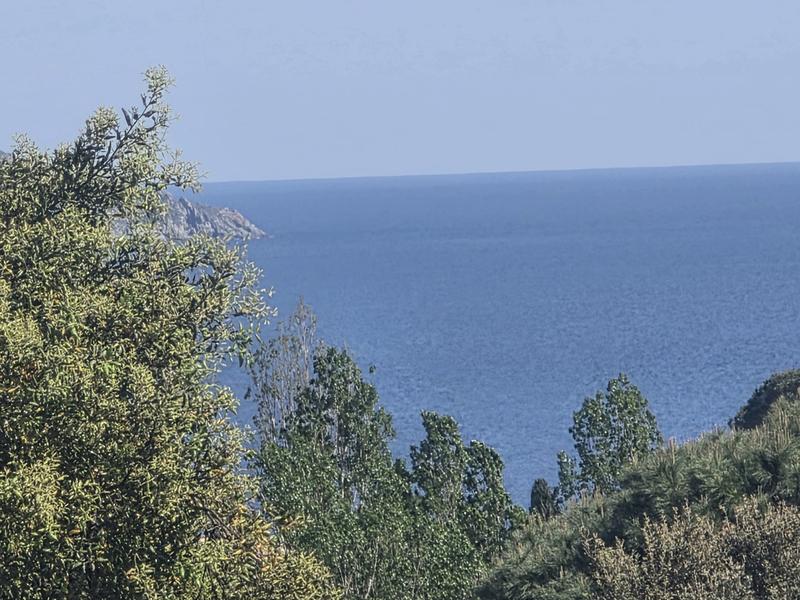 Vu mer