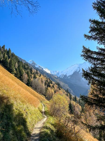 Les chalets de Miage au départ du Champel