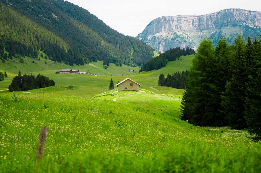 Plateau des Glières