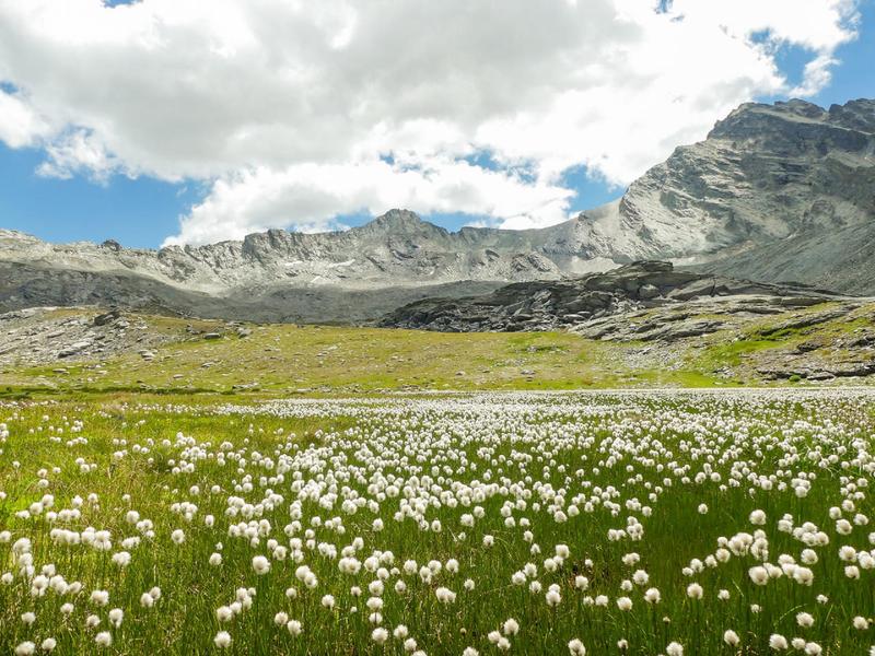 Tour de la roche d'Etache en 3 jours - Etape 2 - Du refuge d'Ambin au refuge du Suffet_Val-Cenis