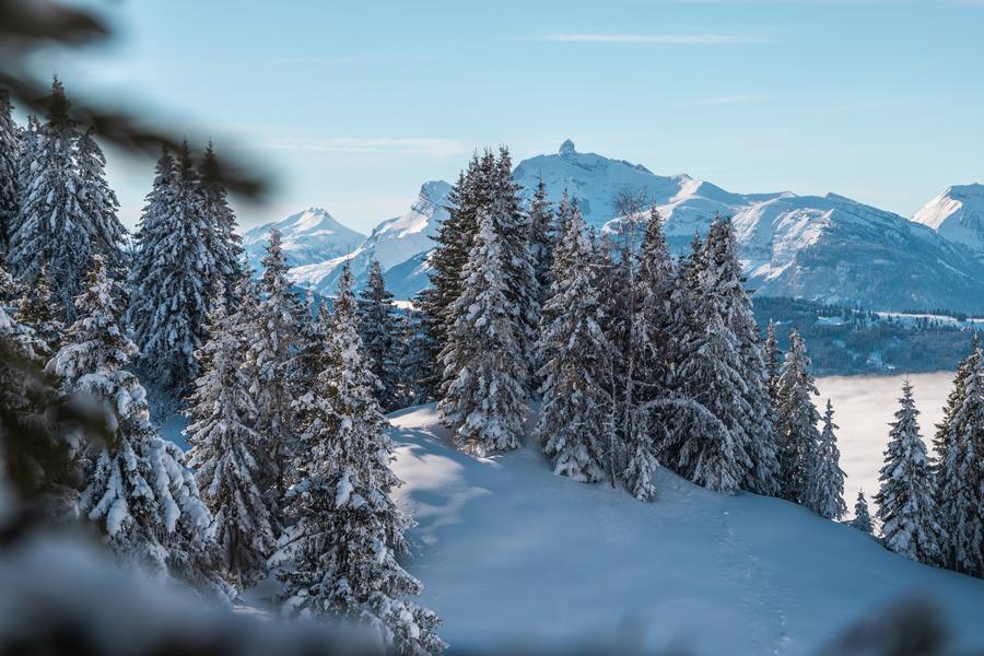 Itinéraire raquettes : La Bourgeoise depuis le chalet d'accueil de Joux Plane_Verchaix