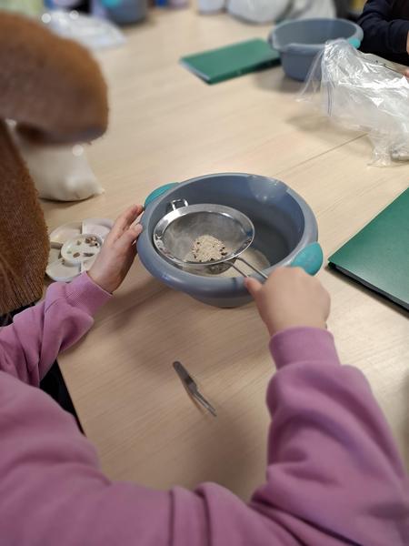 Atelier carpologie