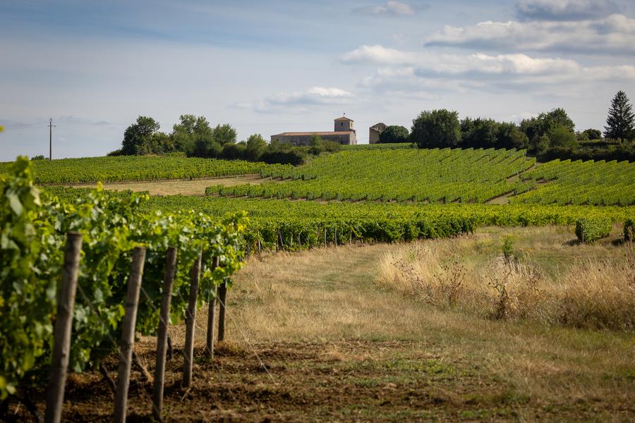 Visite - Vignoble H. Begey