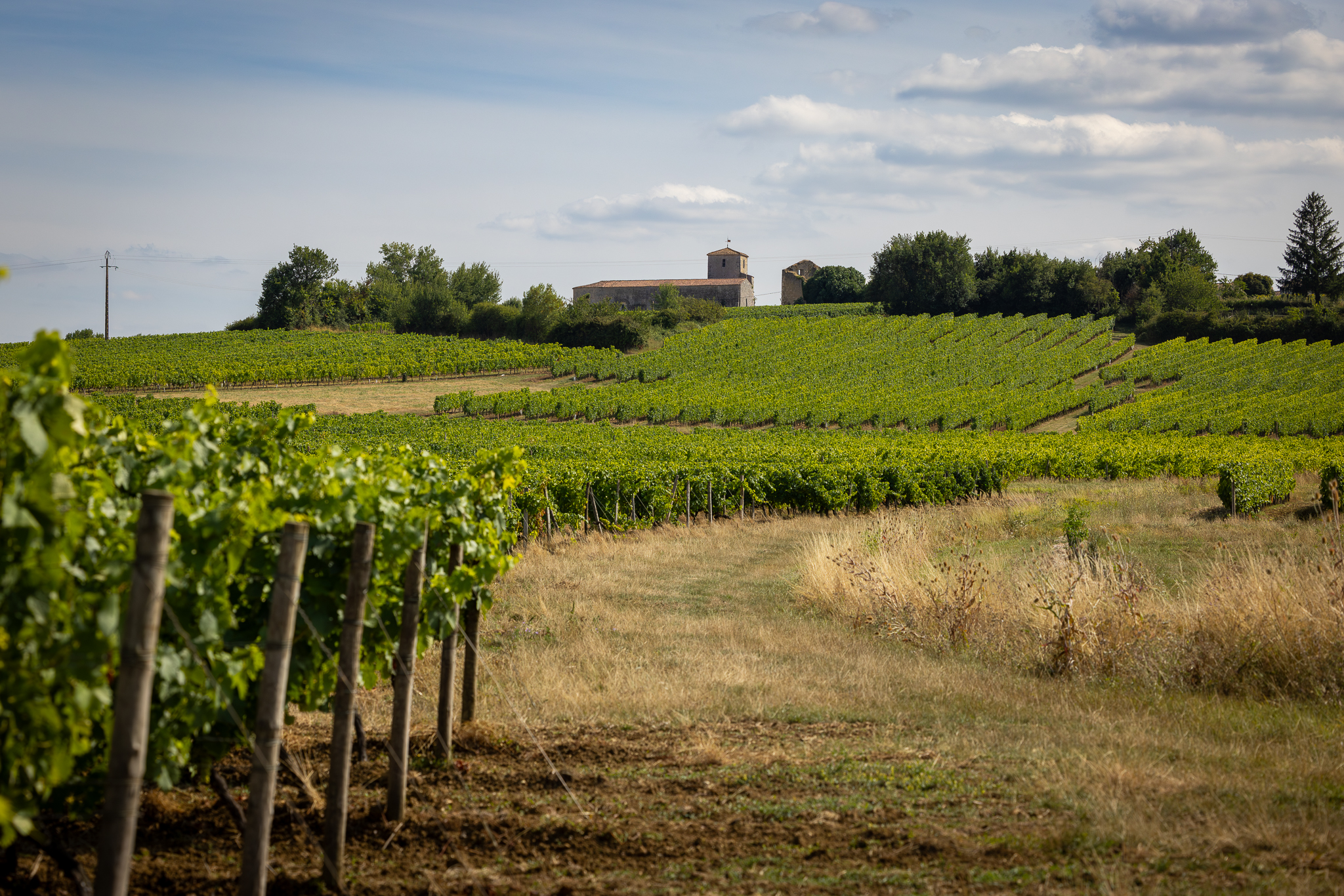Visite - Vignoble H. Begey