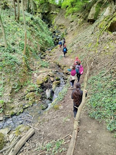 Aventure d'exploration dans la forêt 