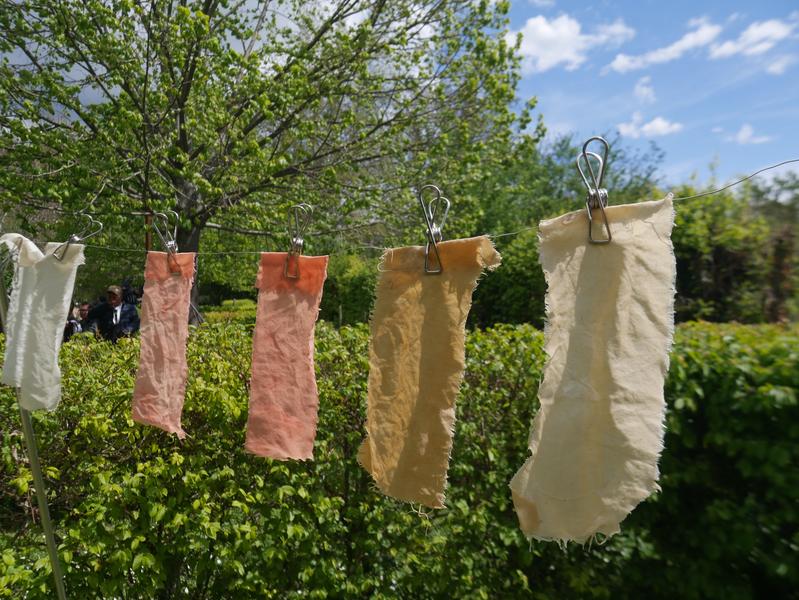 L'été à Salagon : Teinture végétale_Mane
