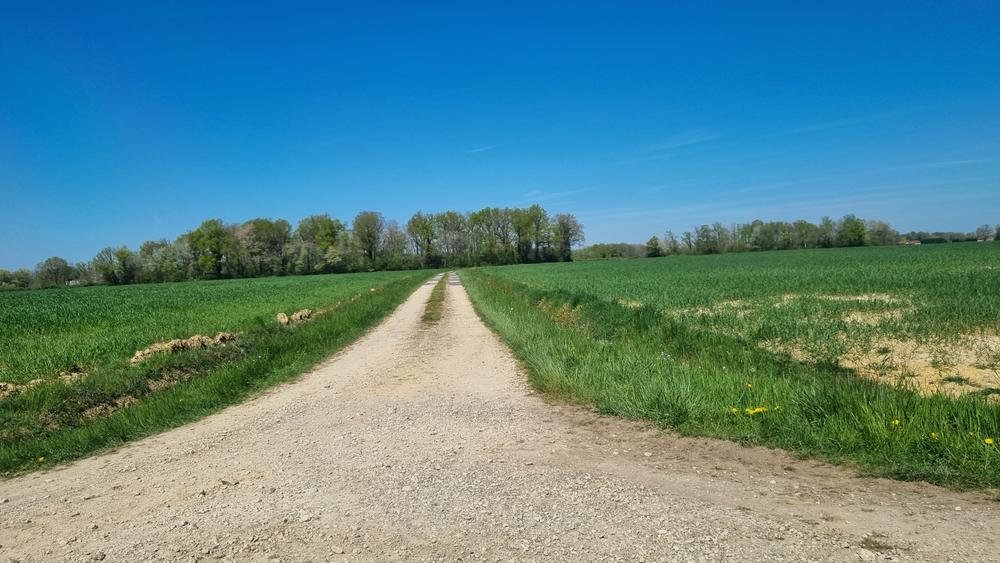 Liaison VTT (L6) St Trivier de Courtes - Plan d'eau de Mépillat_Saint-Trivier-de-Courtes