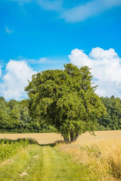 Sentier Nature du Vuache