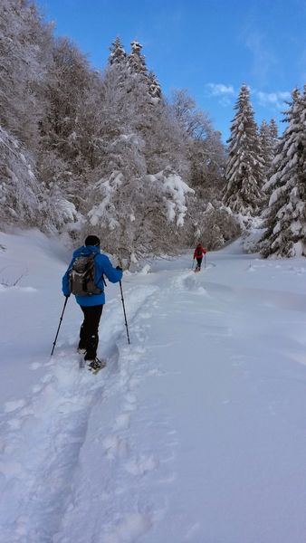 Randonnée raquettes