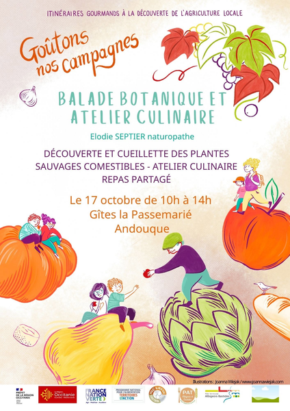 Balade botanique et atelier culinaire