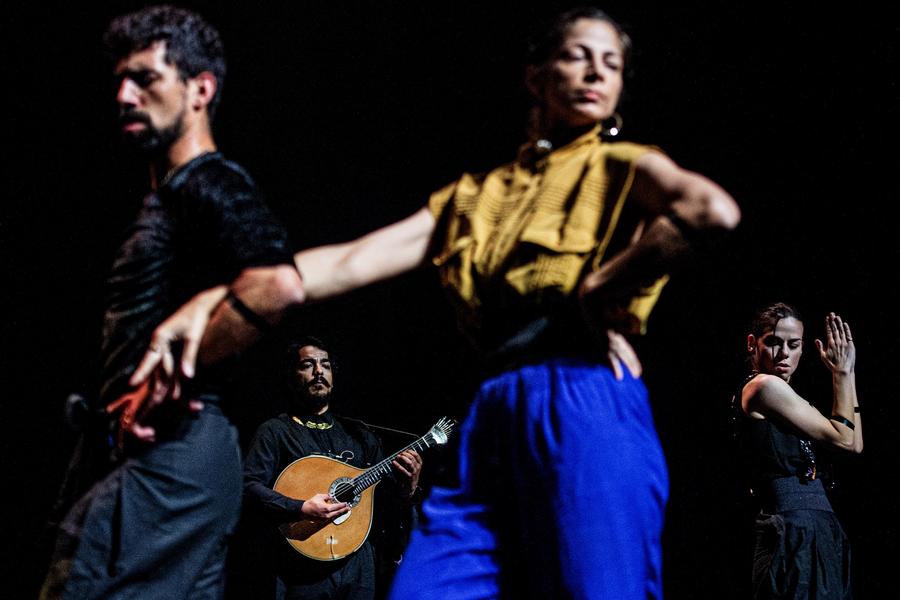 Dance Festival Workshop with Nino Patuano from the Anton Lachky Company_Carros