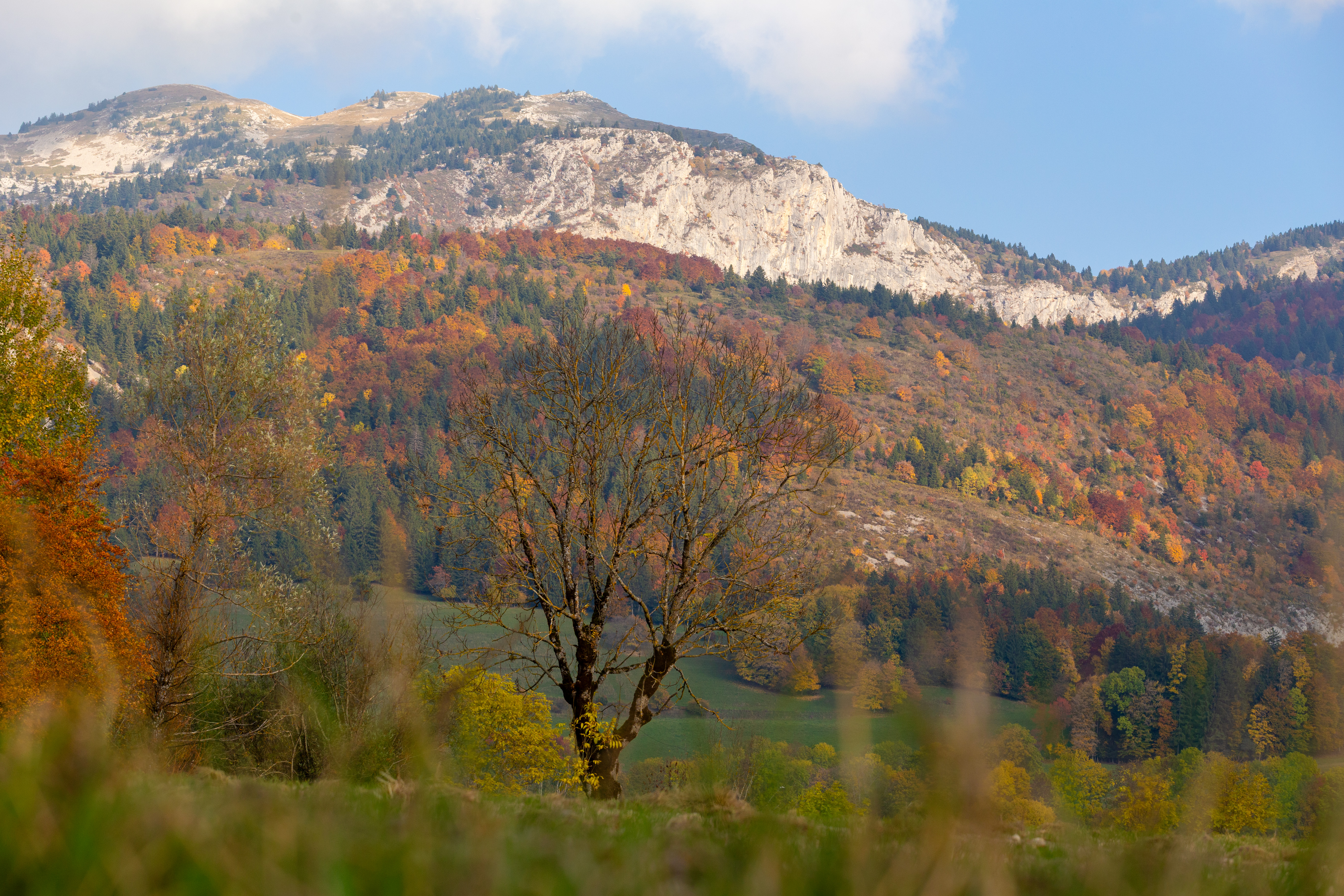 photosFeed-https://static.apidae-tourisme.com/filestore/objets-touristiques/images/101/21/43259237.jpg