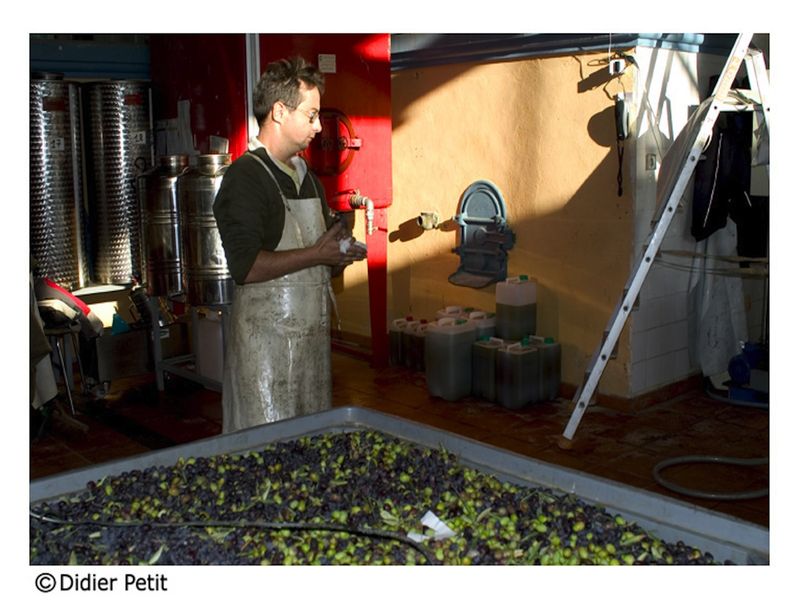 Boutique Grand Réal