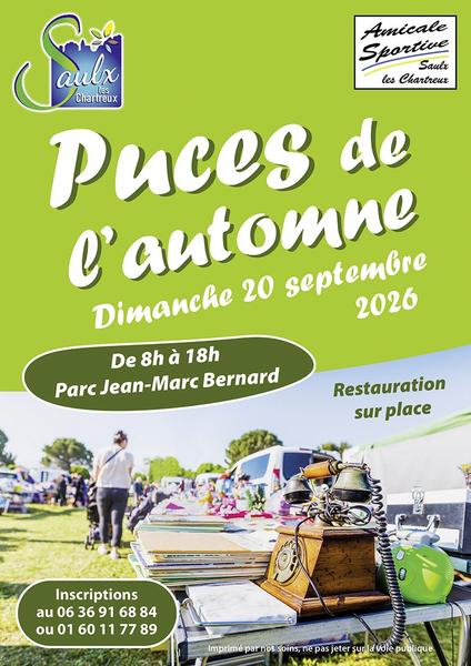 Les puces de l'automne