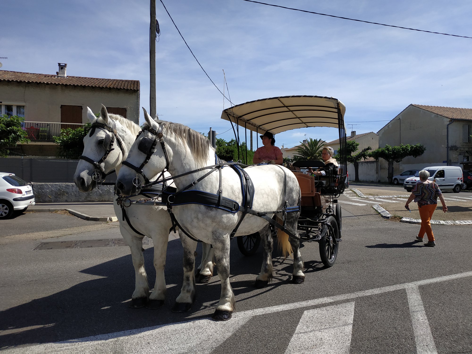 Les Calèches de Mado, Maillane - photo 4
