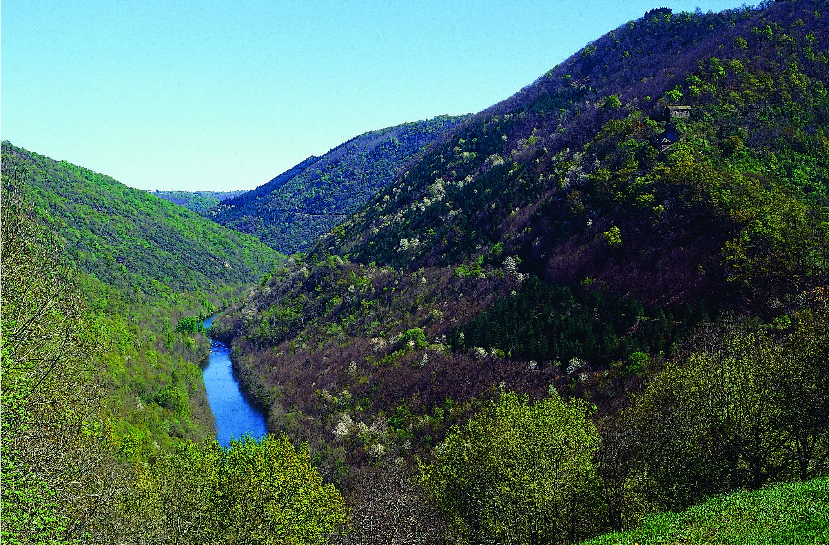 Visites guidées en Carmausin-Ségala
