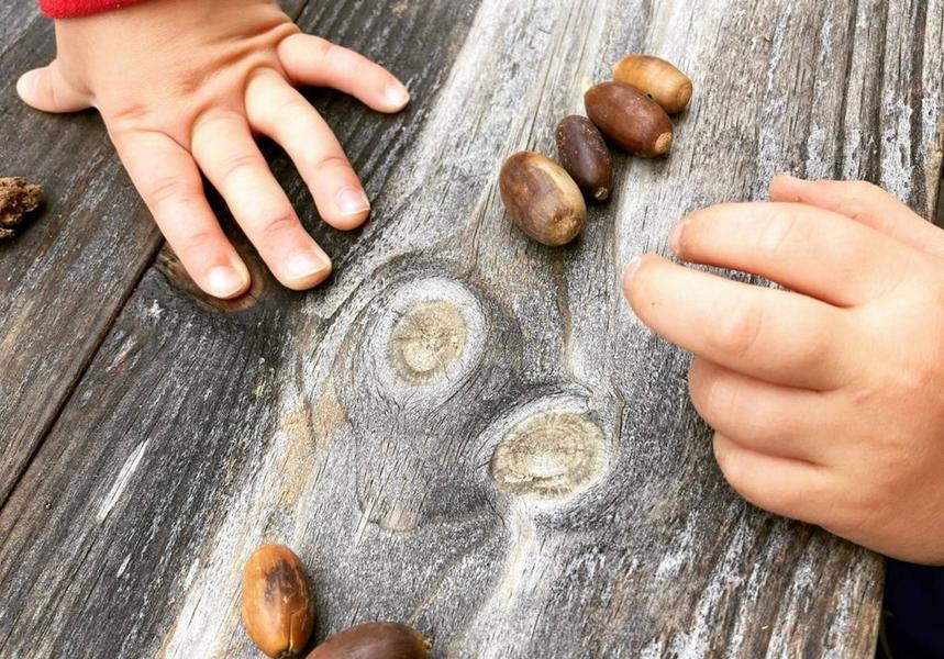 Ateliers pour enfants : mobiles en matériaux naturels