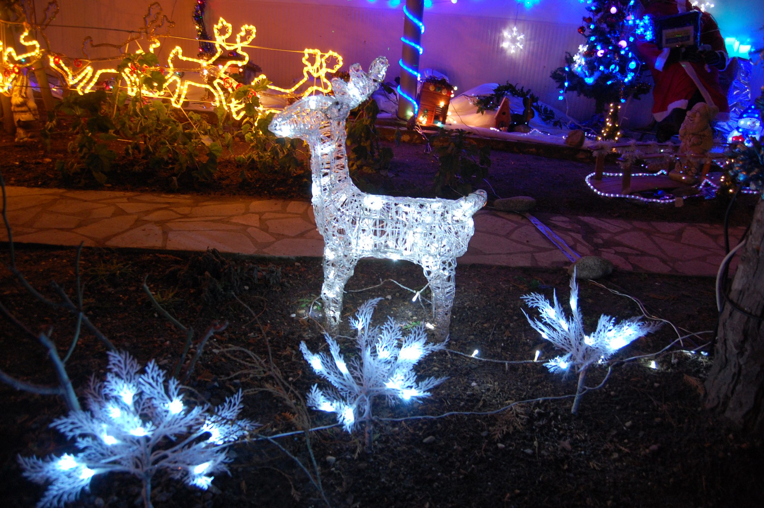 Alle leuke evenementen! : Grand concours de décorations de Noël