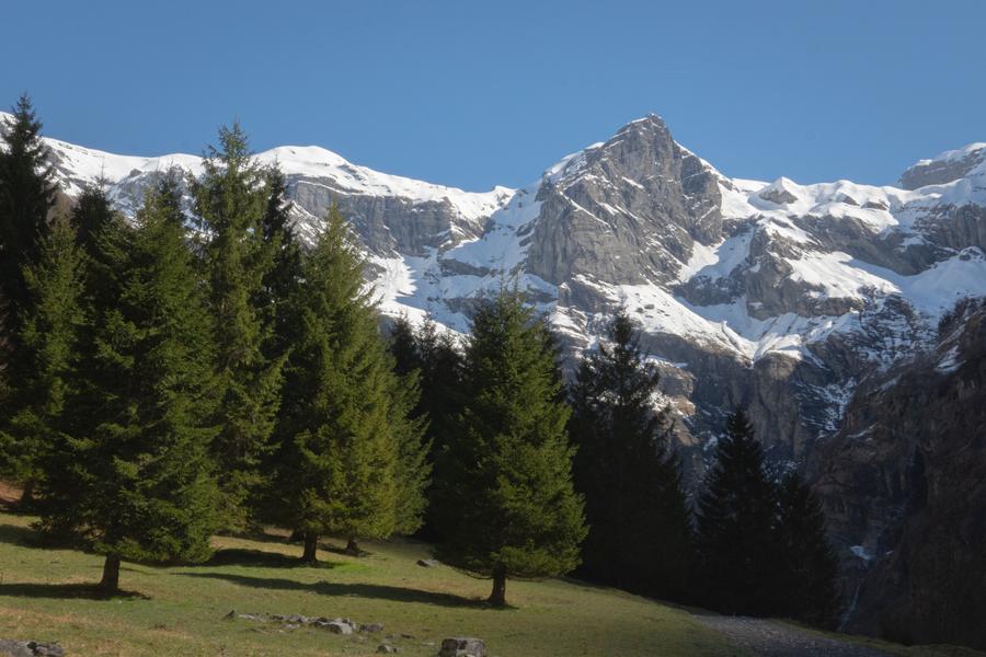 Balade découverte du Cirque du Fer-à-Cheval au printemps_Sixt-Fer-à-Cheval