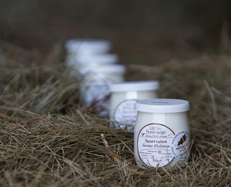 yaourt