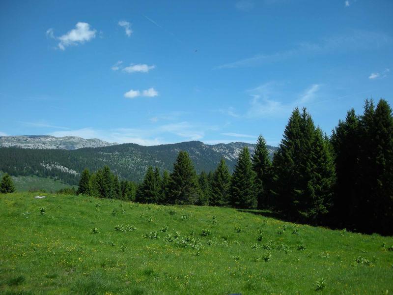Plateau des Glières