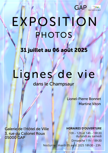 - © Martine Viton Lignes de vie dans le Champsaur - © Martine Viton