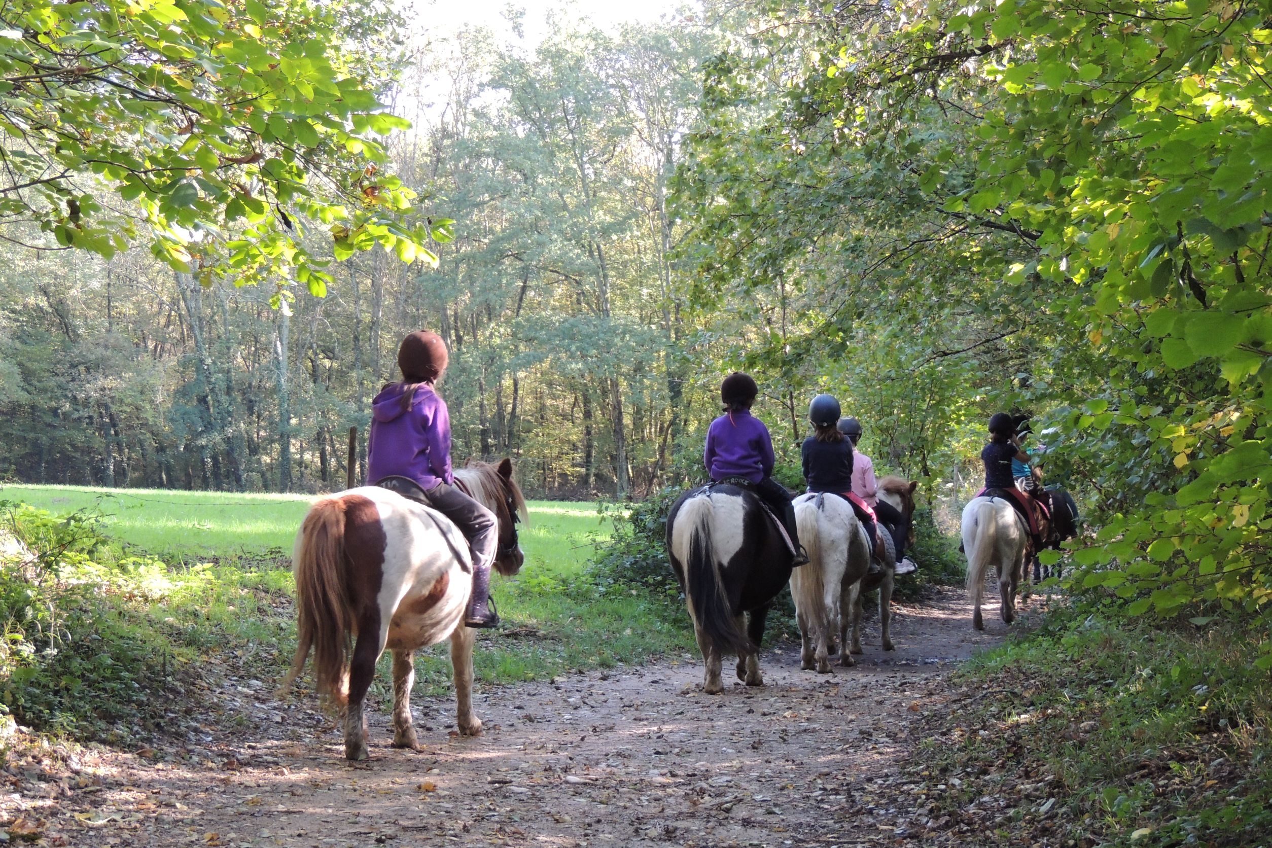 Balade à poney