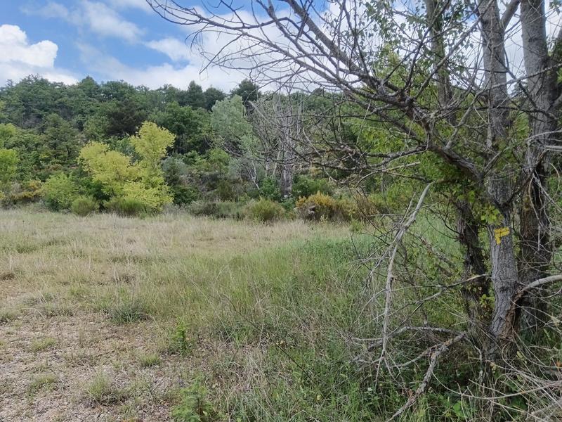 Vers le lac par Chanteraine