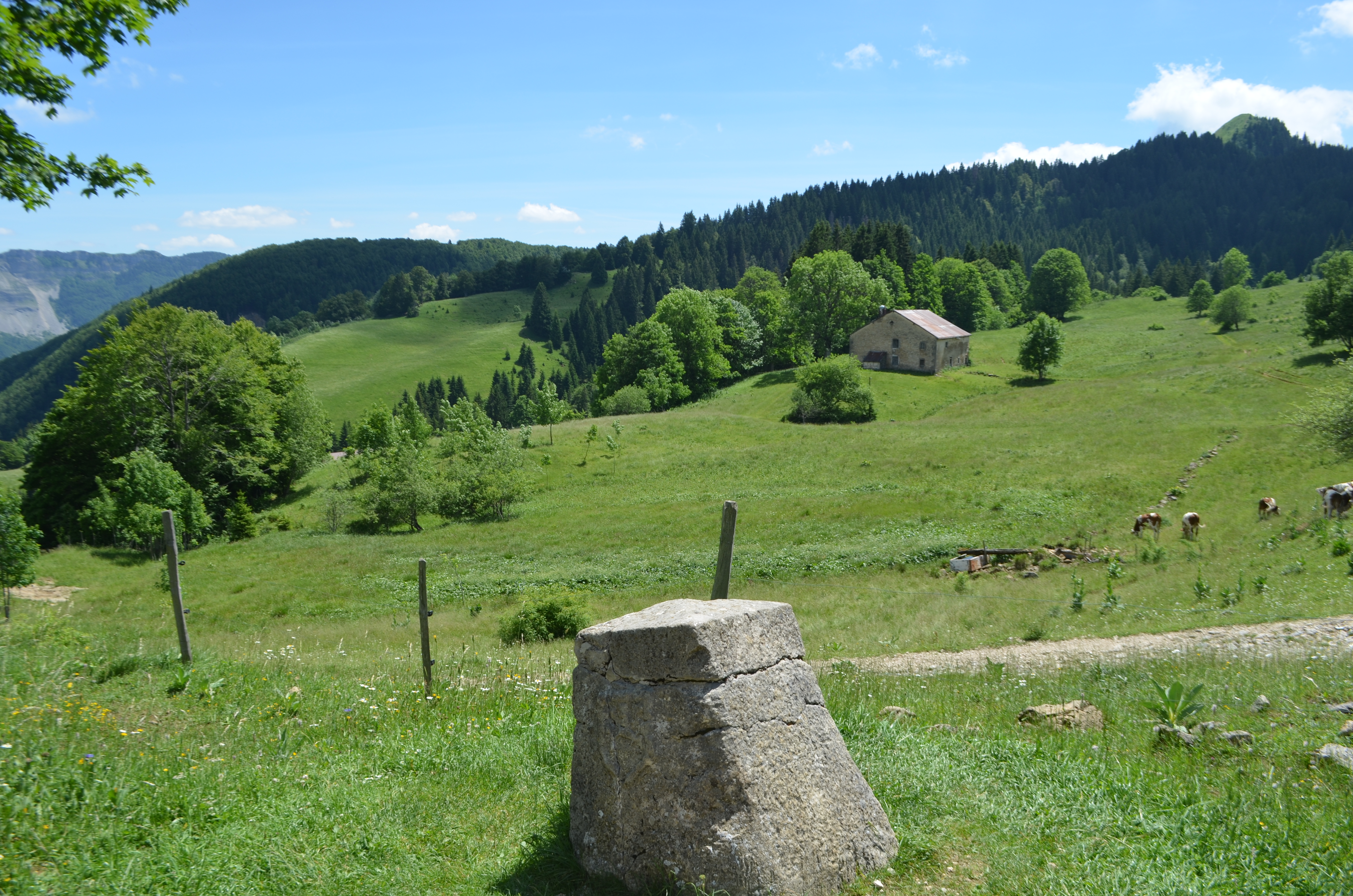 GR de Pays - Grand Tour de la Valserine