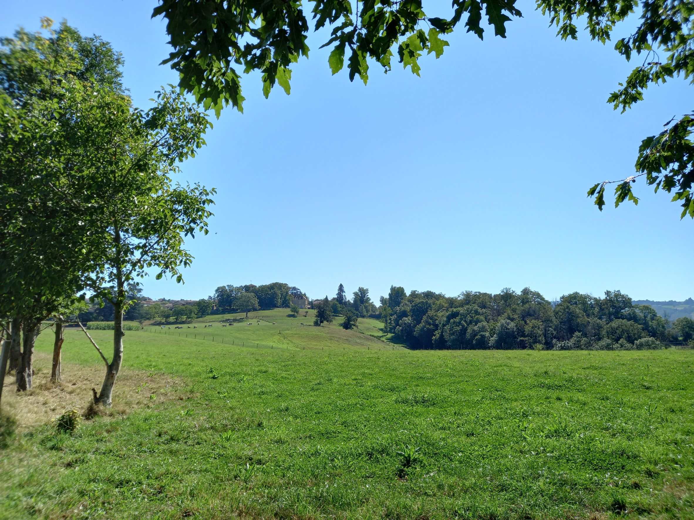 Vue sur la campagne - Chevrières