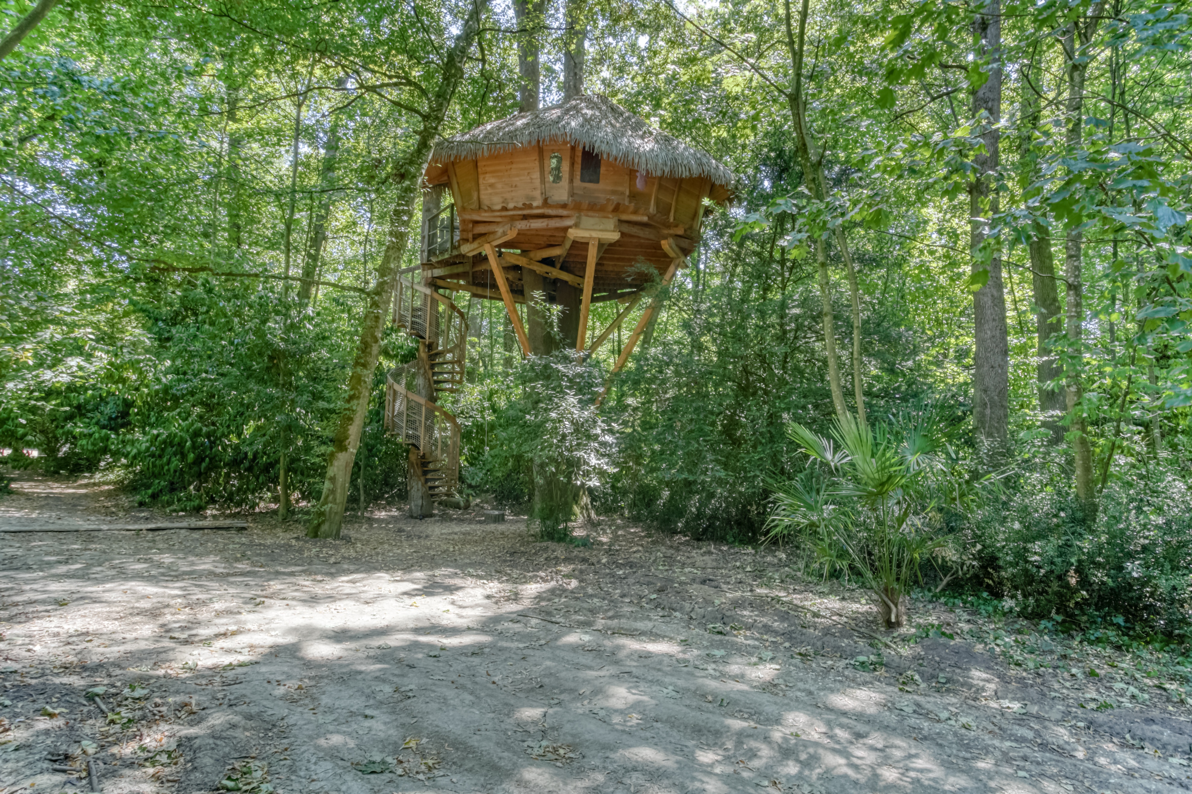 Sur un Arbre Perché - La Cabane des 1001 Nuits