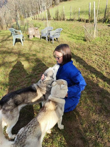 Moment calin avec les chiens au chenil des Granges de Heidi