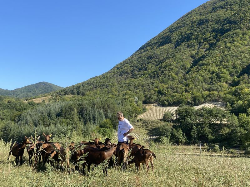 Ferme caprine Pracoutel