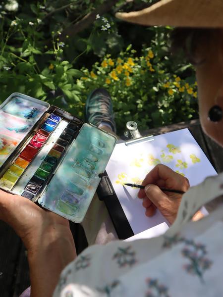 Stage d'aquarelle naturaliste_Villar-d'Arêne