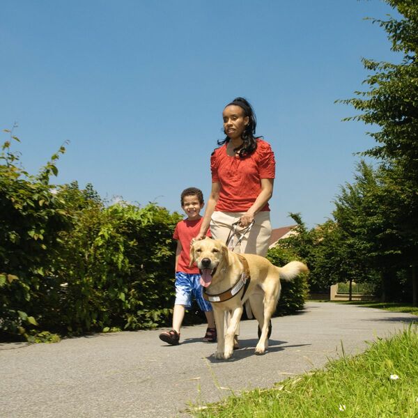 Ecole de chiens guides pour aveugles et malvoyants de Paris 