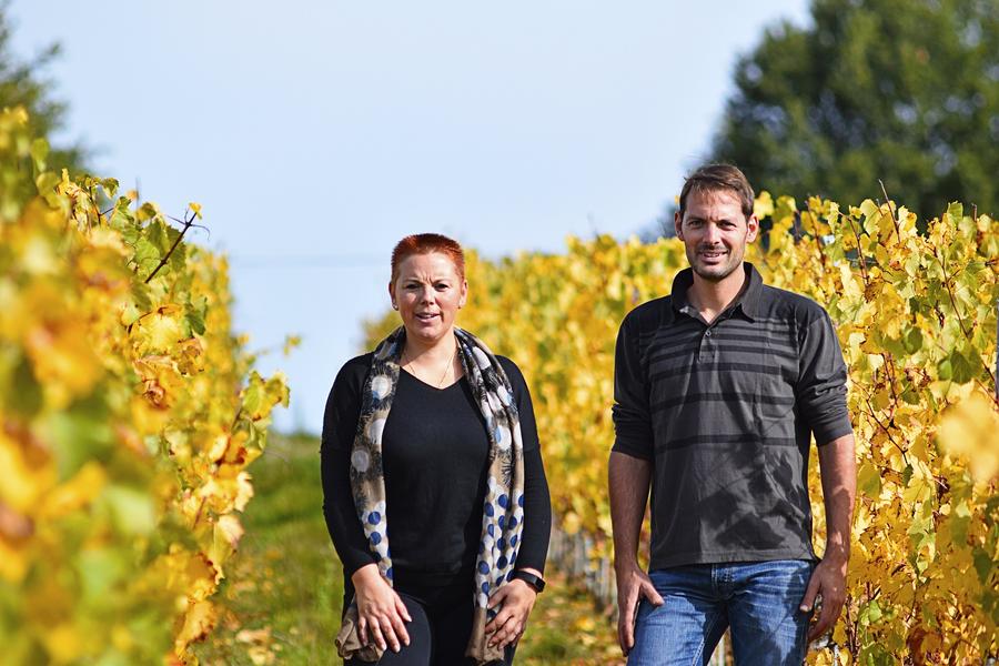 Visite dégustation au Domaine des Pampres d'Or_Saint-Germain-Nuelles