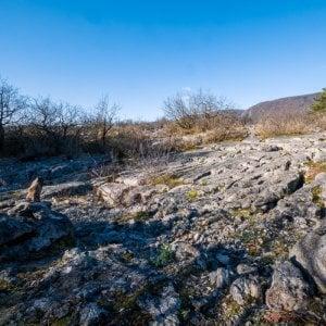 Tous au Fierloz  (à partir de 5 ans) - Maison du Marais de Lavours_Artemare