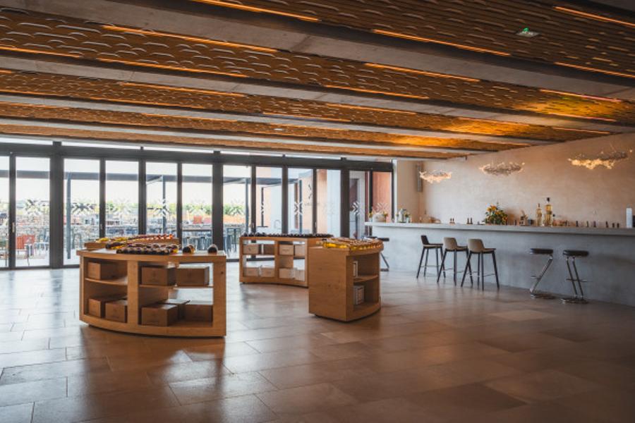 Vignobles et Terroir Aixois