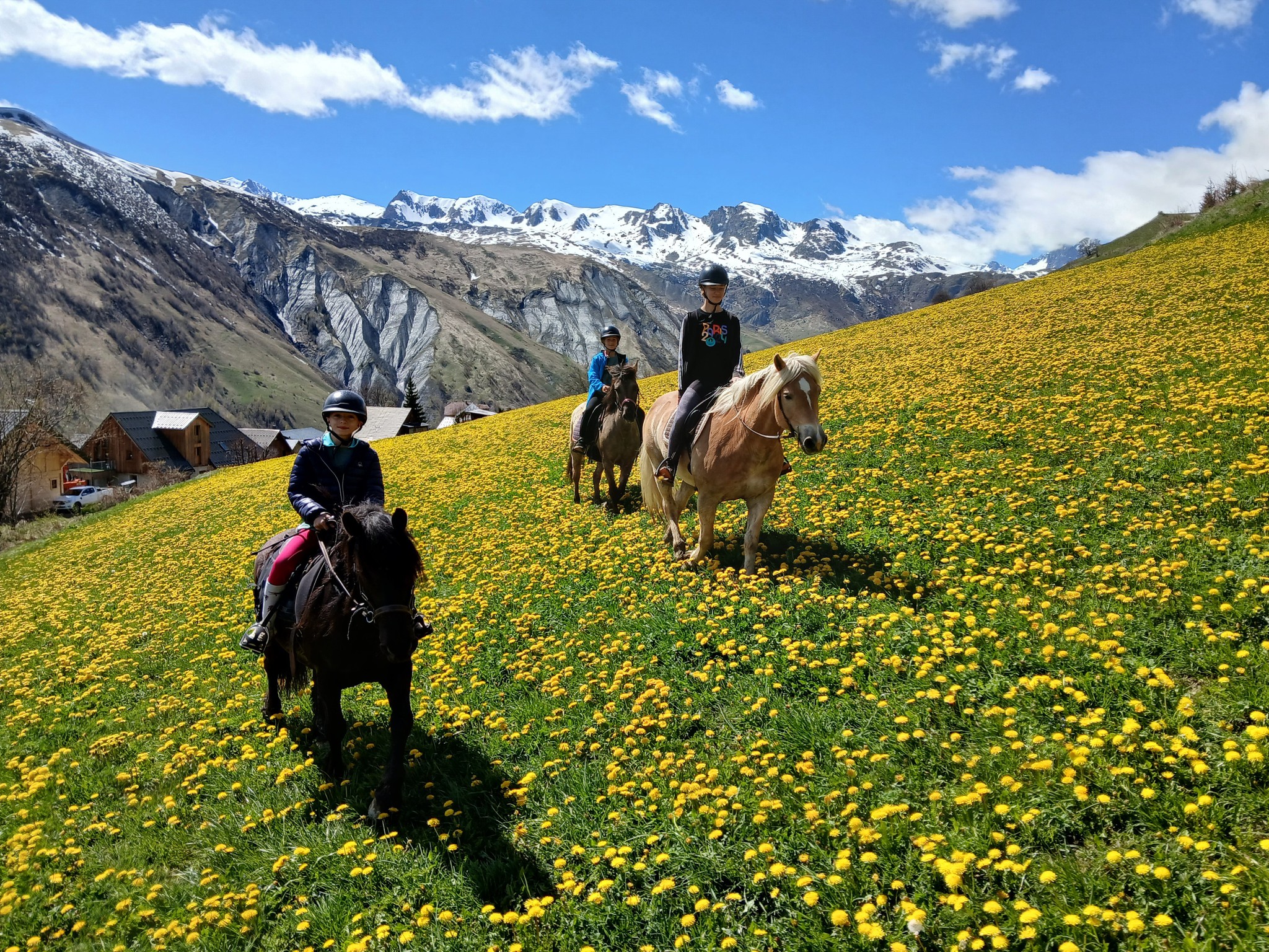 Randonnées à cheval