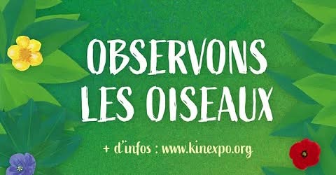 Exposition interactive "Observons les oiseaux"_Champagne-en-Valromey