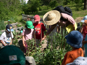 Journée familiale à Terre Vivante