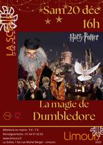 Spectacle de magie avec Dumbledore, Limours 2025