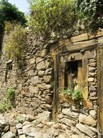 Maison en ruine du village abandonné d'Issandolanges, à Novacelles : murs de pierre sèche et encadrement de fenêtre en bois envahis par la végétation