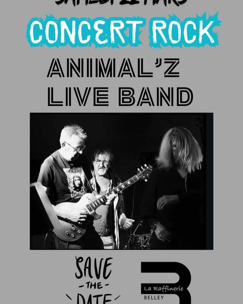 http://Concert%20Animal'z%20live%20band