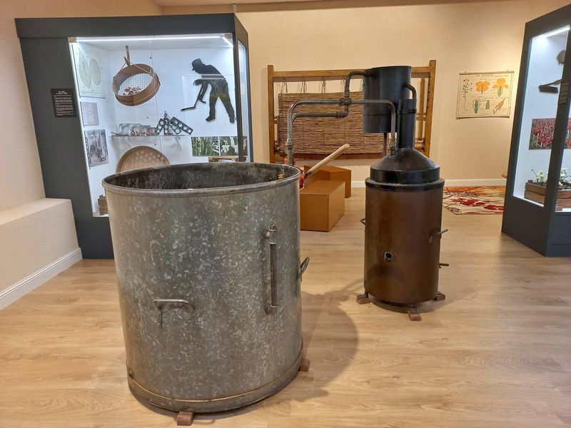Musée de la fleur - Ollioules